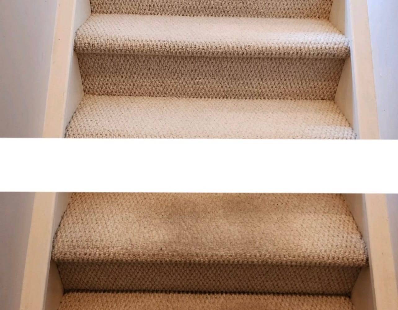 Carpet Cleaning