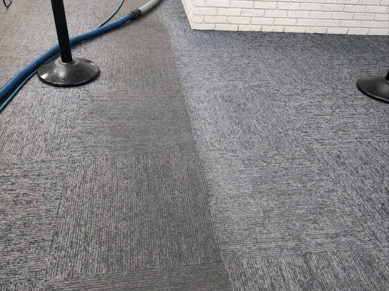 Carpet Cleaning