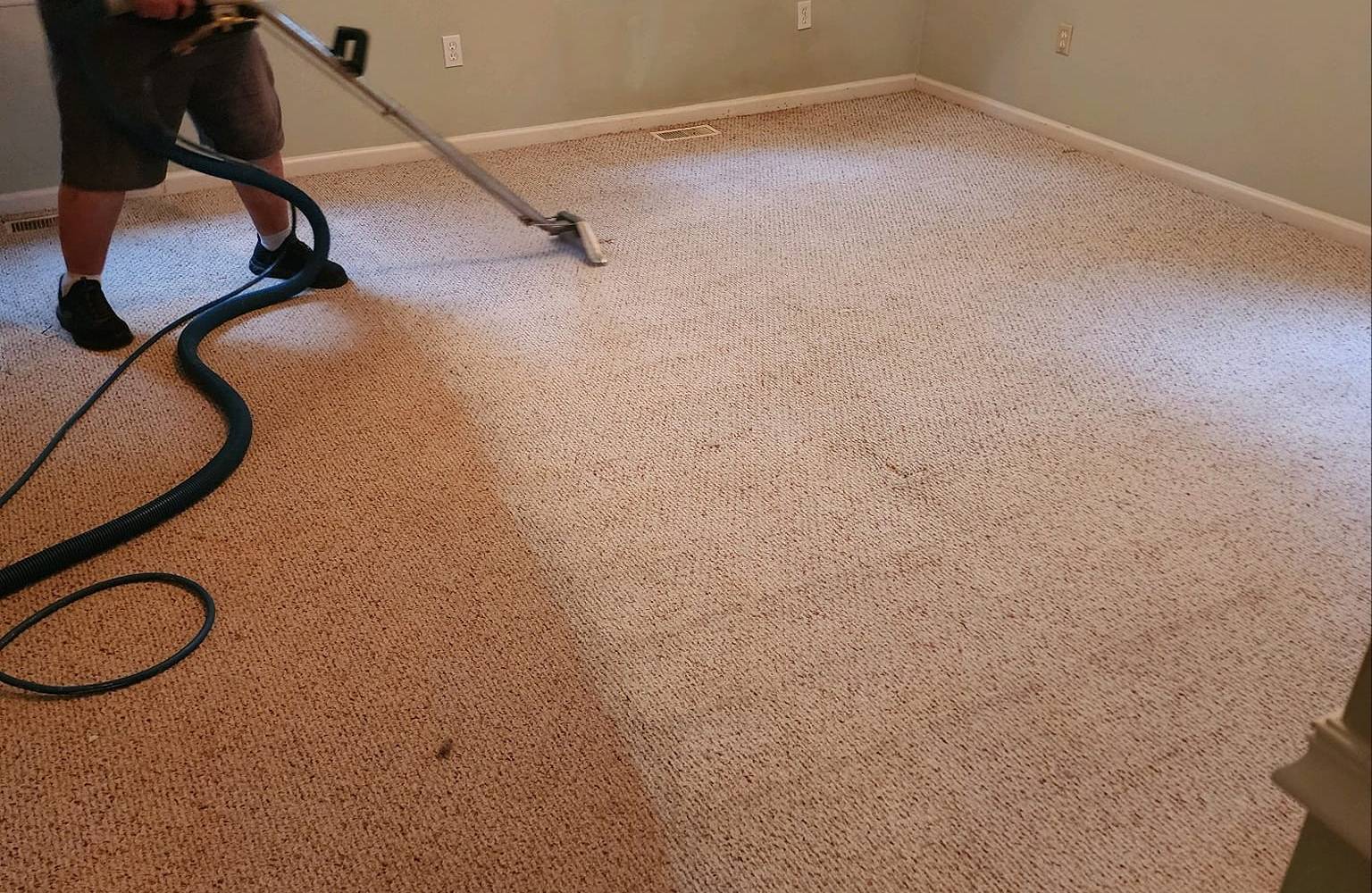 Carpet Cleaning