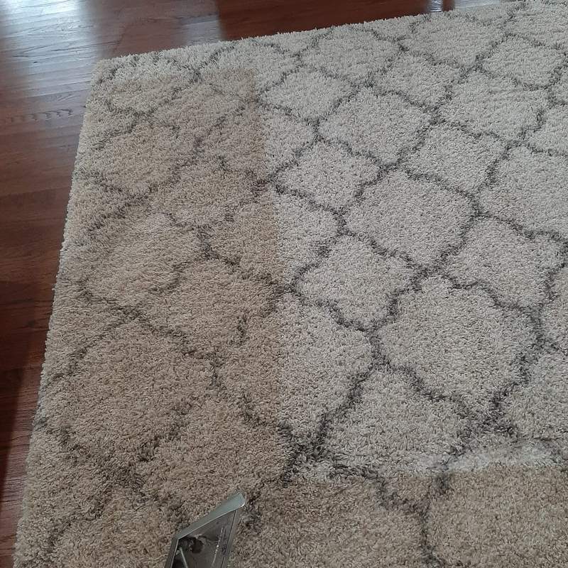 Carpet cleaning hero image