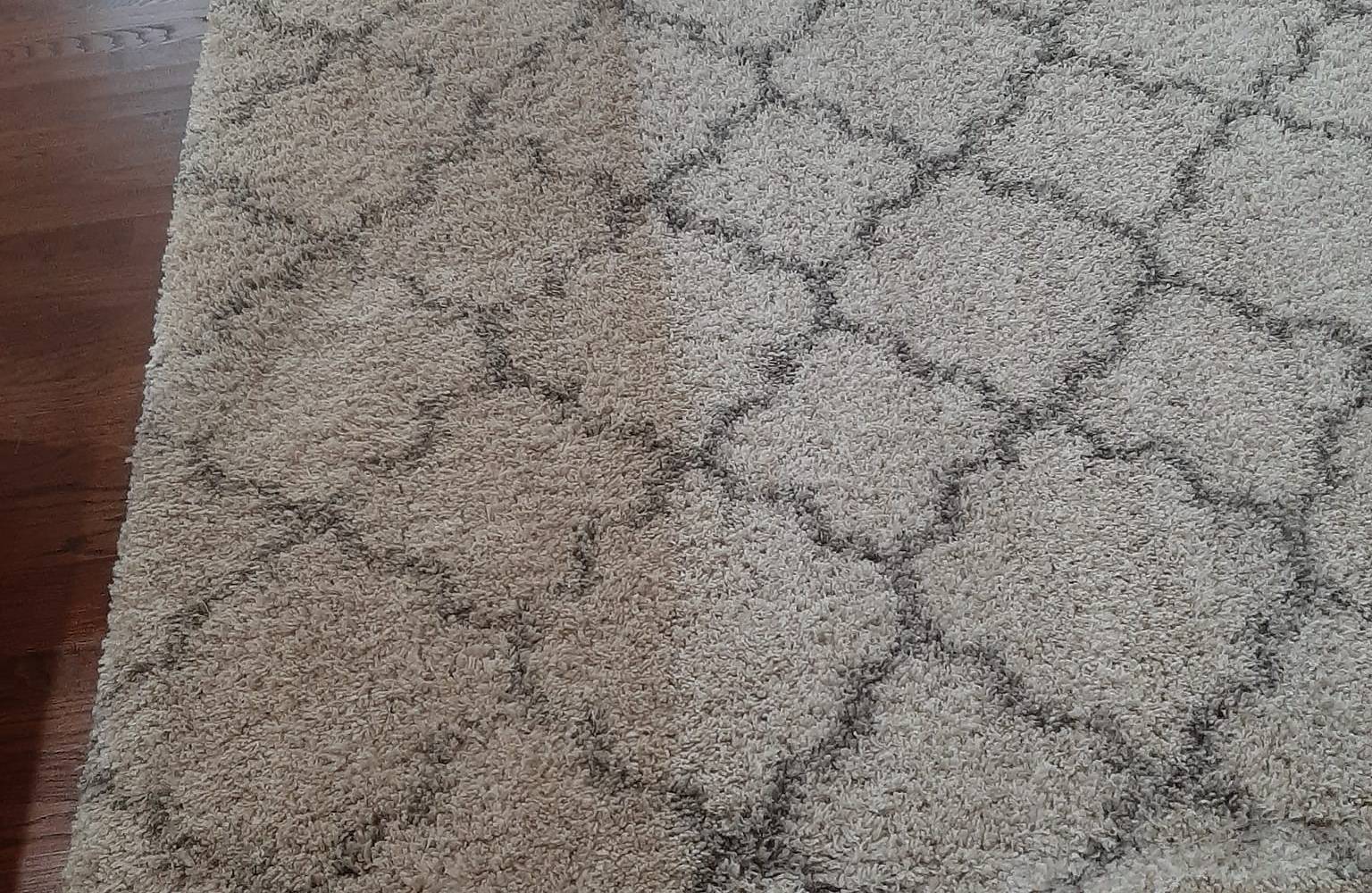 Carpet Cleaning