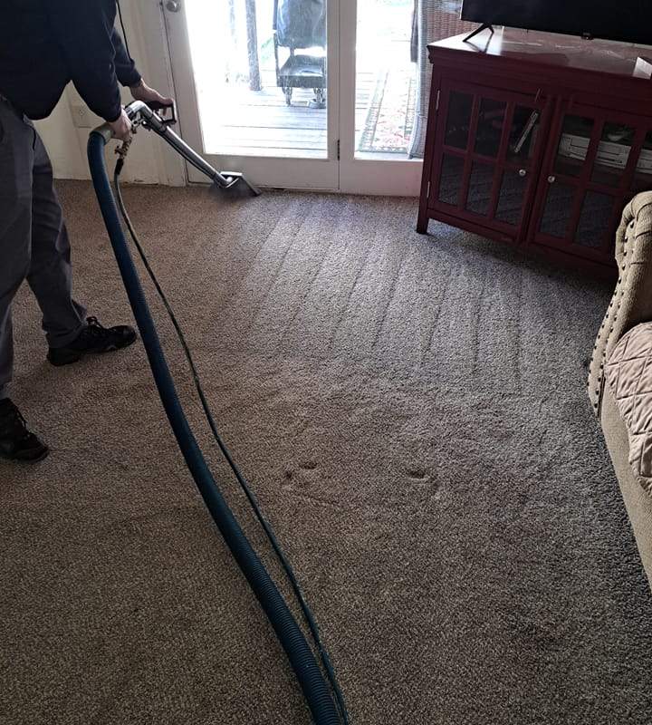 All The Rage Carpet Cleaning team at work