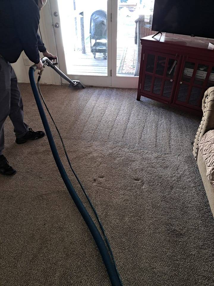 Carpet Cleaning
