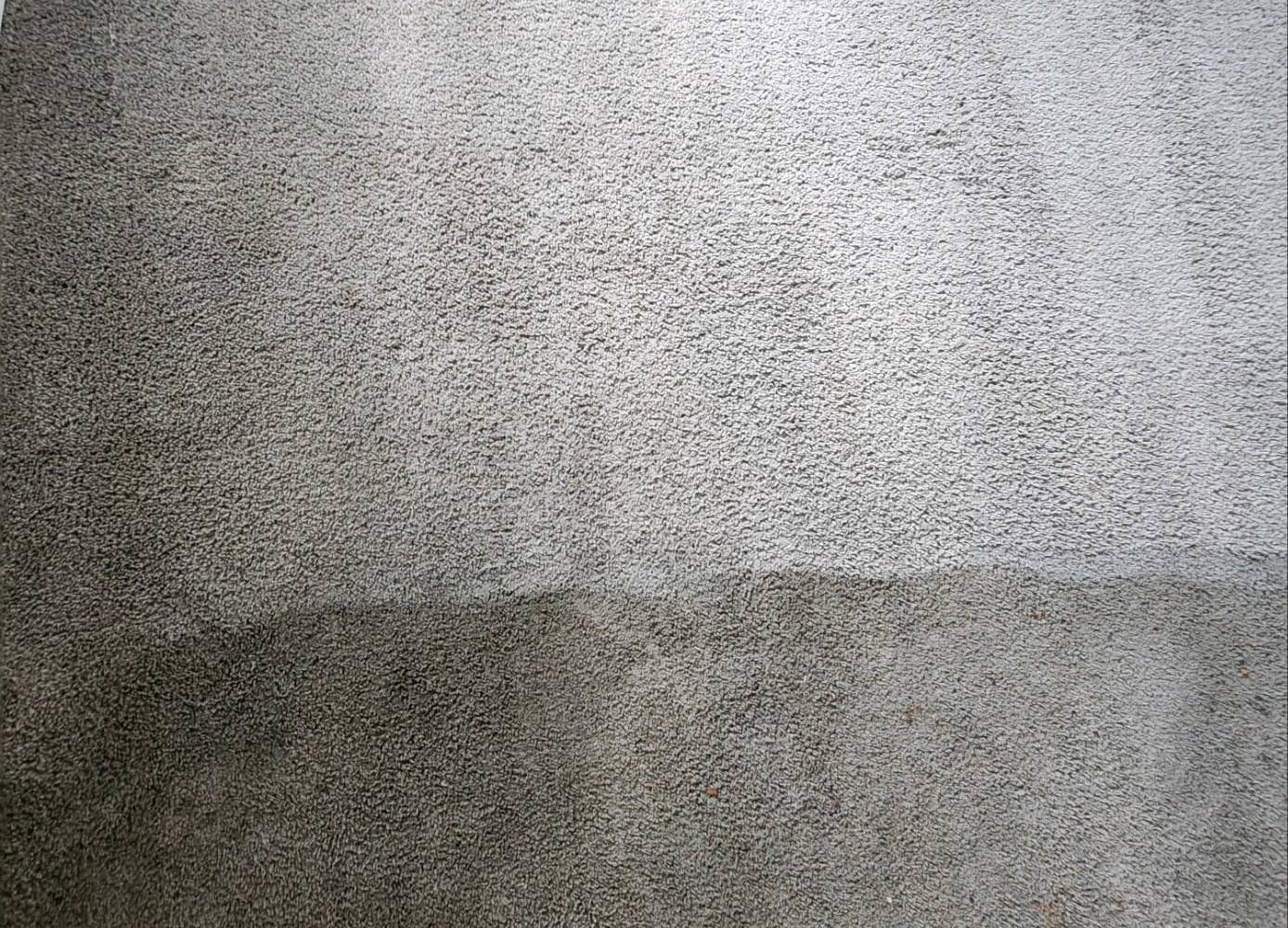 Carpet Cleaning